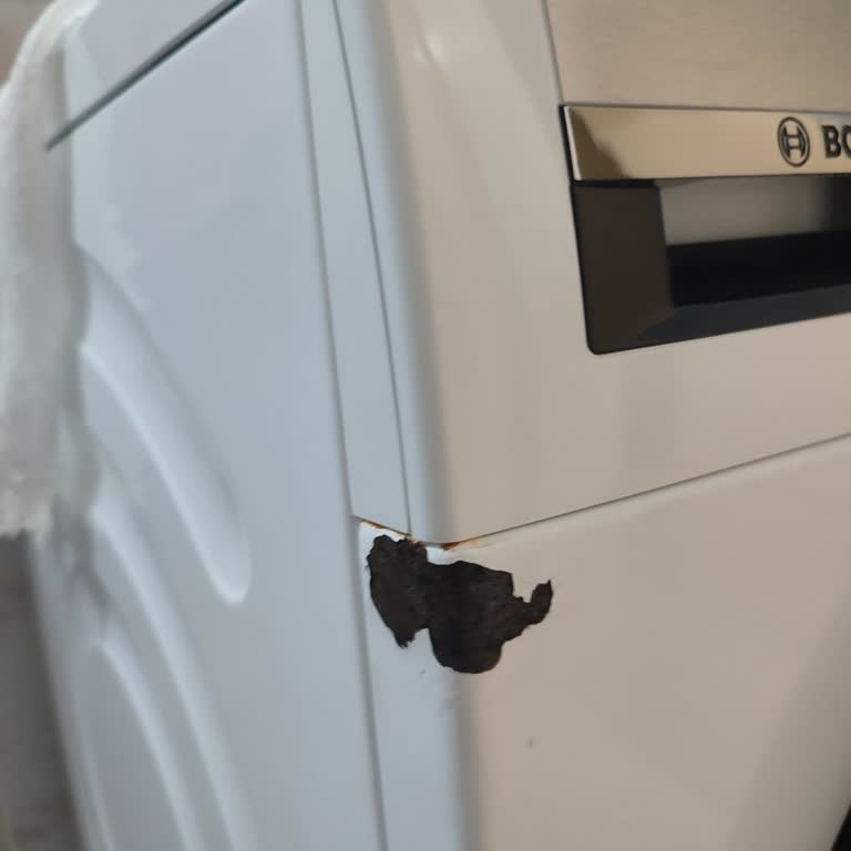 Bosch Garanti Sürecinde Yaşanan Servis Gecikmesi Ve Mağduriyet