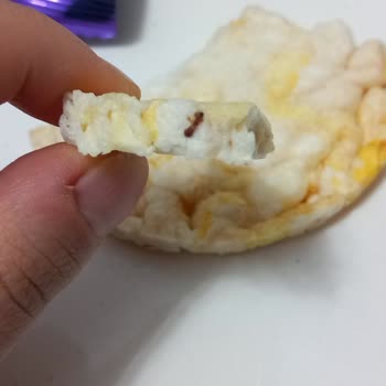 Aldığım Üründe Böcek Çıkması Ve İletişim Sorunu Güvenimi Sarsıyor