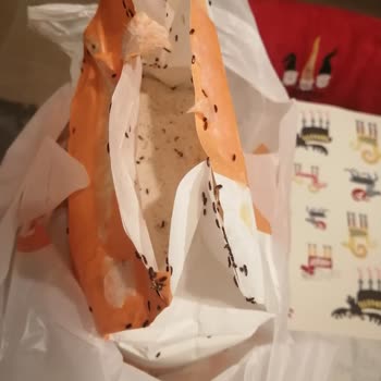 Migros Sanal Market’ten Teslim Alınan Siparişte Böcekli Un Ve Hasarlı Ürünler