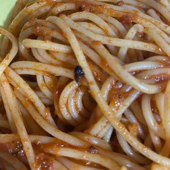 Tukaş Gurme Makarna Sosunda Büyük Sinek Şoku Ve Hijyen Endişesi