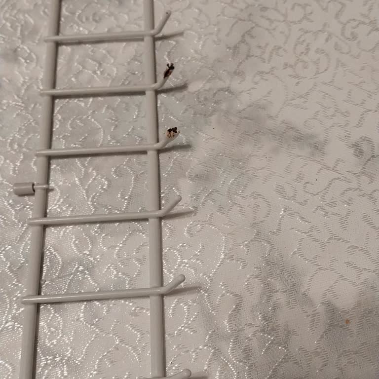 Miele Bulaşık Makinesi Sepetlerinde Erken Paslanma Ve Yüksek Değişim Ücreti