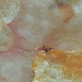 Aldığım Cipsin İçinden Yabancı Cisim Çıktı: Sağlık Riski Ve Mağduriyet