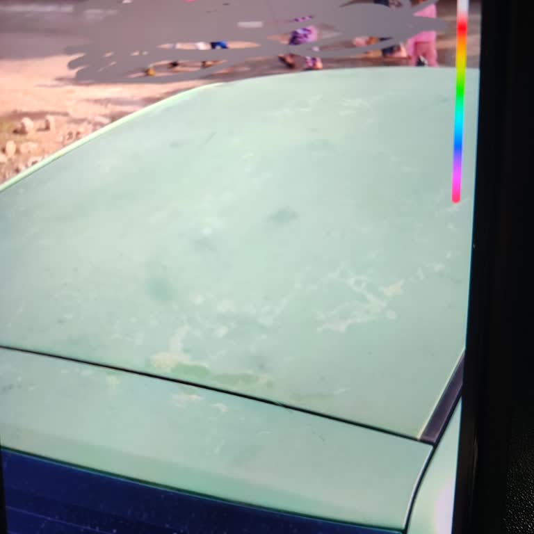 Güneş Yanığı Nedeniyle Teklif Verilmeden Aracım Reddedildi