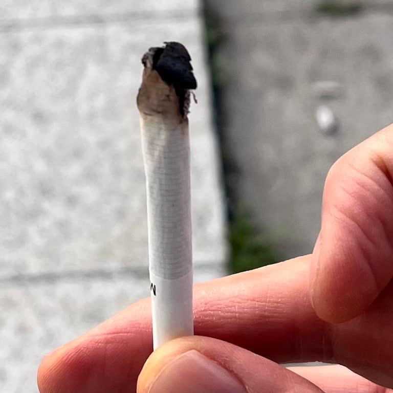 Marlboro Touch Blue Sigaralarda Yabancı Madde Sorunu Ve Sağlık Endişesi