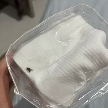 Bebek Temizleme Pamuğunda Sinek Ölüsü: Hijyen Ve Güvenlik Endişesi