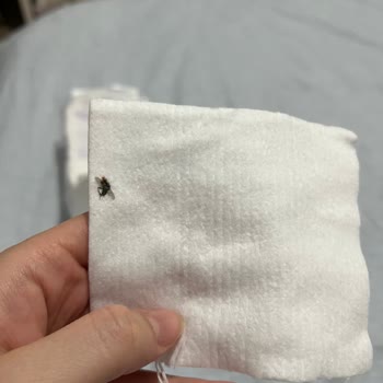 Bebek Temizleme Pamuğunda Sinek Ölüsü: Hijyen Ve Güvenlik Endişesi