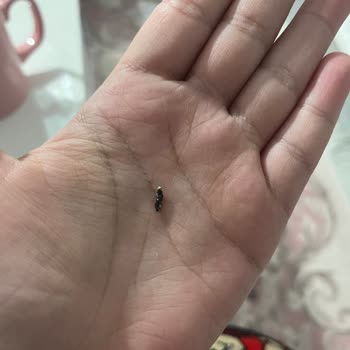 Aldığım Ekmekte Küf Ve Yabancı Maddeyle Karşılaştım, Güvenim Sarsıldı