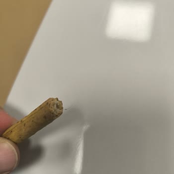 Ülker İçinden Kıl Çıktı!