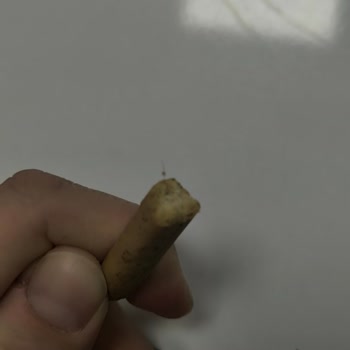 Ülker İçinden Kıl Çıktı!