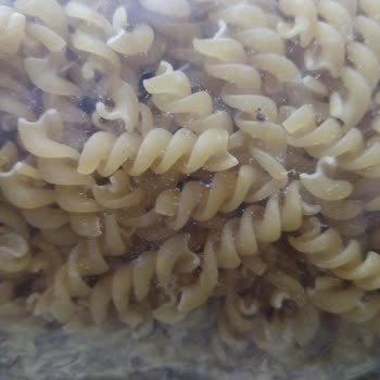 Aro Tarihi Geçmemiş Makarnadan Böcek Çıkması Güvenimi Sarsıyor!