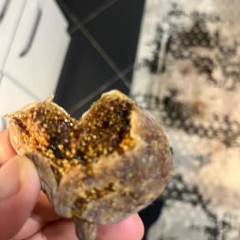 Küflü Ve Bozuk İncirler İçin İade Talebim Cevapsız Kaldı