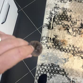 Küflü Ve Bozuk İncirler İçin İade Talebim Cevapsız Kaldı