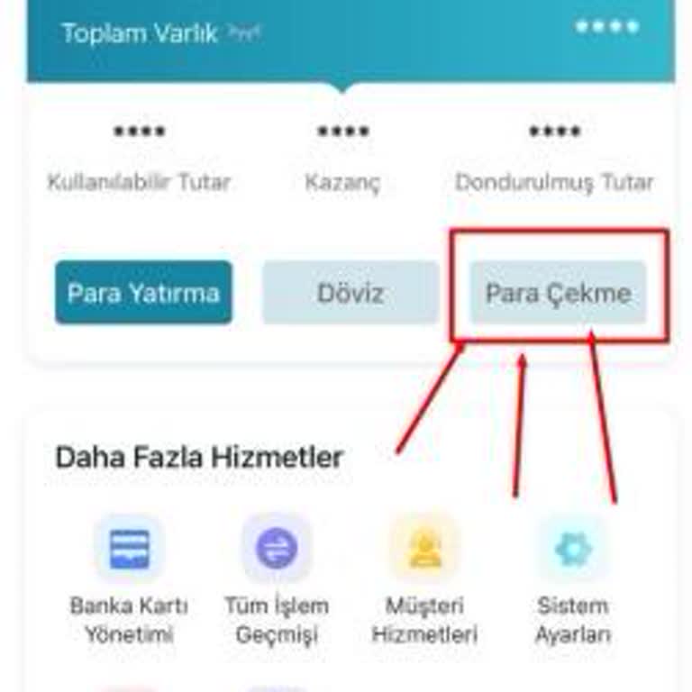 Yatırım Vaadiyle Mağdur Edildim, Param Ve Kimlik Bilgilerim Tehlikede