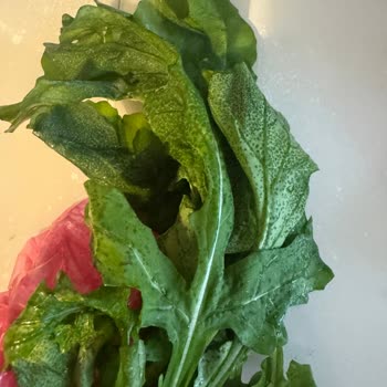 Siemens Buzdolabı Sürekli Arızalanıyor, Mağduriyetimiz Giderilmiyor