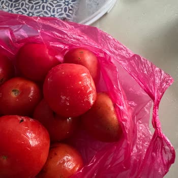 Siemens Buzdolabı Sürekli Arızalanıyor, Mağduriyetimiz Giderilmiyor