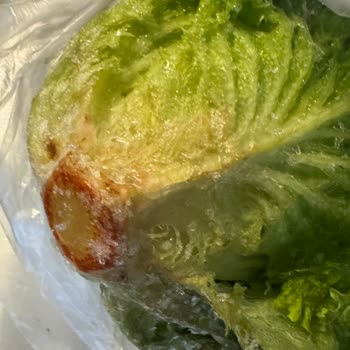 Siemens Buzdolabı Sürekli Arızalanıyor, Mağduriyetimiz Giderilmiyor