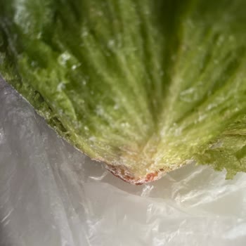 Siemens Buzdolabı Sürekli Arızalanıyor, Mağduriyetimiz Giderilmiyor