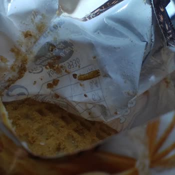 Kapalı Paket Bisküviden Böcek Ve Ağ Çıkması Güvenimi Sarstı