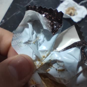 Kapalı Paket Bisküviden Böcek Ve Ağ Çıkması Güvenimi Sarstı