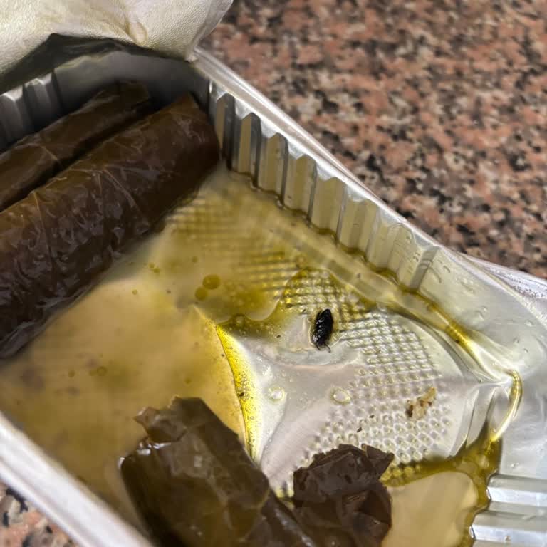 Burcu Gıda Yaprak Sarma İçinde Böcek Buldum Sağlığım Tehlikeye Girdi!