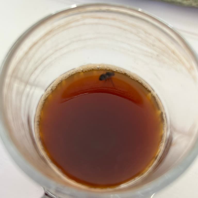 Kahve Paketinden Sinek Çıktı, Hijyen Sorunu Ve Güvensizlik Yaşadım