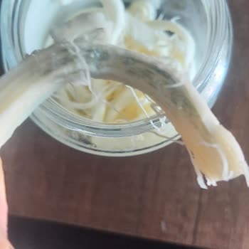 Kaya Çiftliği Küflü Peynir Nedeniyle Sağlık Endişesi Ve Mağduriyet!