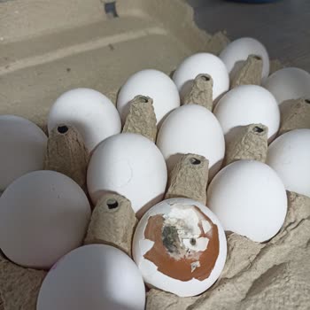 Aldığım Keskinoğlu Yumurta Çürük Çıktı, Sağlığımız Tehlikede