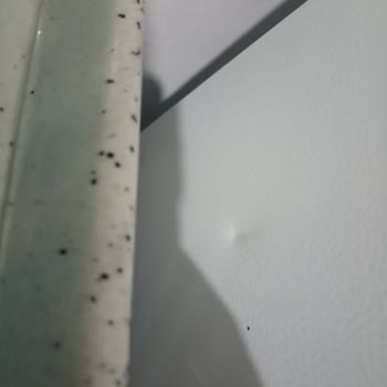 Yeni Buzdolabında Darbe Ve Ek Garanti Sözünün Tutulmaması