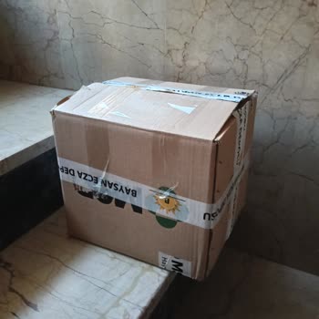 Sağlıklı Kedim Barınakta Yapılan İhmaller Sonucu Hayatını Kaybetti