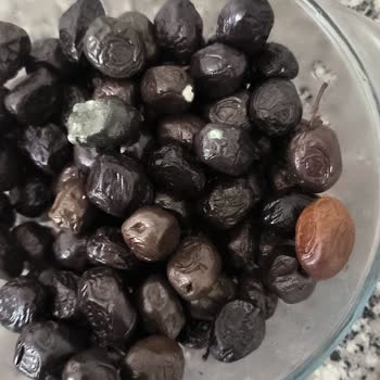 Yeni Alınan Buzdolabında Sürekli Koku Ve Ürün Bozulması Sorunu Çözülemiyor