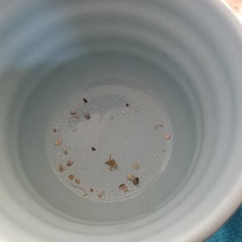 Aldığım Şekerin İçinden Yabancı Maddeler Çıktı, Sağlığım Tehlikeye Girdi