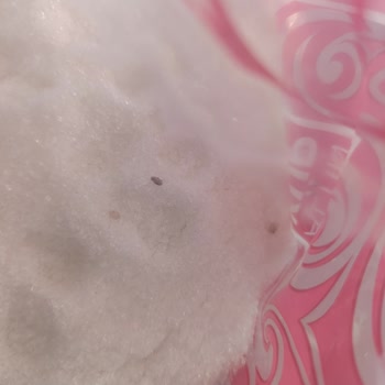 Aldığım Şekerin İçinden Yabancı Maddeler Çıktı, Sağlığım Tehlikeye Girdi