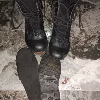 Sıfır Botun 2 Saatte Dağılması Ve Müşteri Hizmetlerine Ulaşılamaması