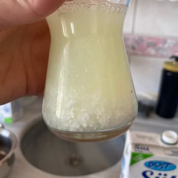 Son Kullanma Tarihi Geçmemiş Dost Süt Bozuk Çıktı