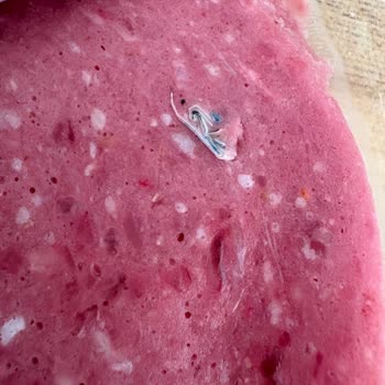 Namet Salamda Plastik Parçalar: Sağlığımız Tehlikede!