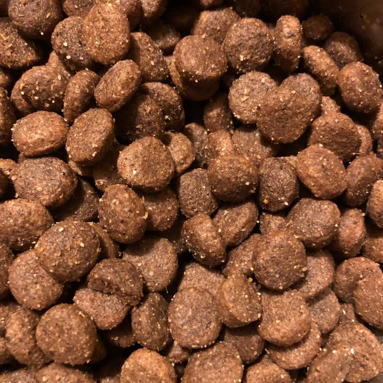 Hepsiburada'dan Alınan Köpek Mamasında Bozuk Ürün Mağduriyeti