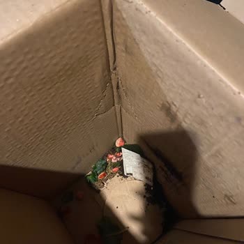 Geç Teslim Edilen Ve Hasarlı Çiçek Siparişi İçin Ücret İadesi Ve Telafi Talebi