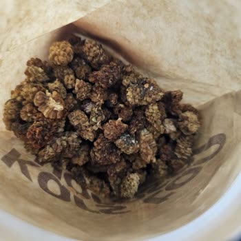 Küflü Ürün Ve İlgisiz Müşteri Hizmeti Nedeniyle Hayal Kırıklığı