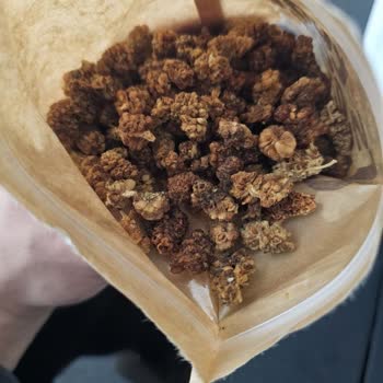 Küflü Ürün Ve İlgisiz Müşteri Hizmeti Nedeniyle Hayal Kırıklığı