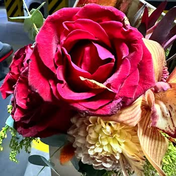 Rosebox İle Kötü Bir Alışveriş Deneyimi