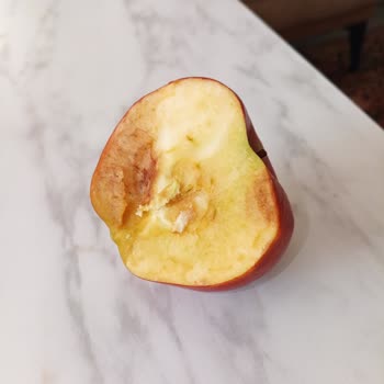 Metro Market’te Paketli Meyvelerin İçinin Çürük Çıkması Ve Denetim Eksikliği