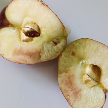 Metro Market’te Paketli Meyvelerin İçinin Çürük Çıkması Ve Denetim Eksikliği