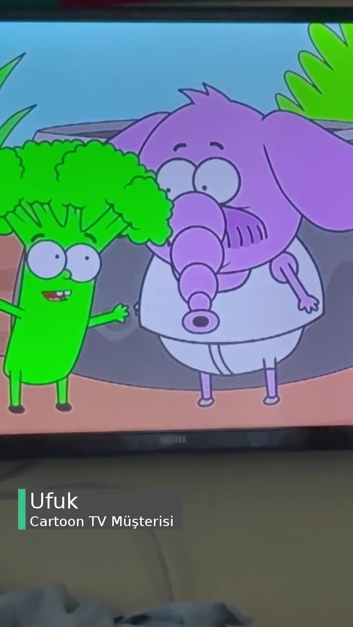 Cartoon TV Necati'ye Osman Diyorlar! videonun kapak resmi