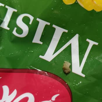 Aldığım Mısır Konservesinden Yabancı Madde Ve Bozuk Taneler Çıktı