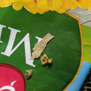 Aldığım Mısır Konservesinden Yabancı Madde Ve Bozuk Taneler Çıktı