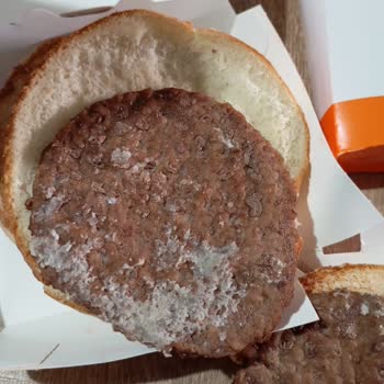 Burger King Siparişimde Hijyen Sorunu Ve Sağlık Endişesi