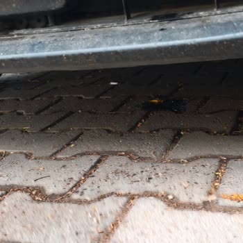 BMW 216d Aracımın Su Kaçağı Sorunu Ve Yetersiz Servis Desteği