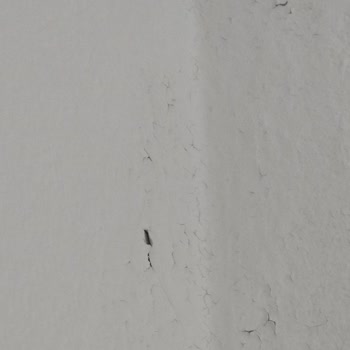 Yeni Alınan Boyada Kısa Sürede Kabarma Ve Dökülme Sorunu