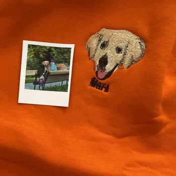 İptal Edilmeyen Sipariş Ve Kusurlu Ürün İçin İade Talebim Cevapsız Kaldı