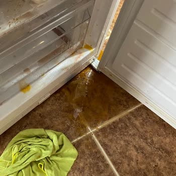 Vestel Derin Dondurucu Arızasıyla Tüm Kışlık Ürünlerim Bozuldu